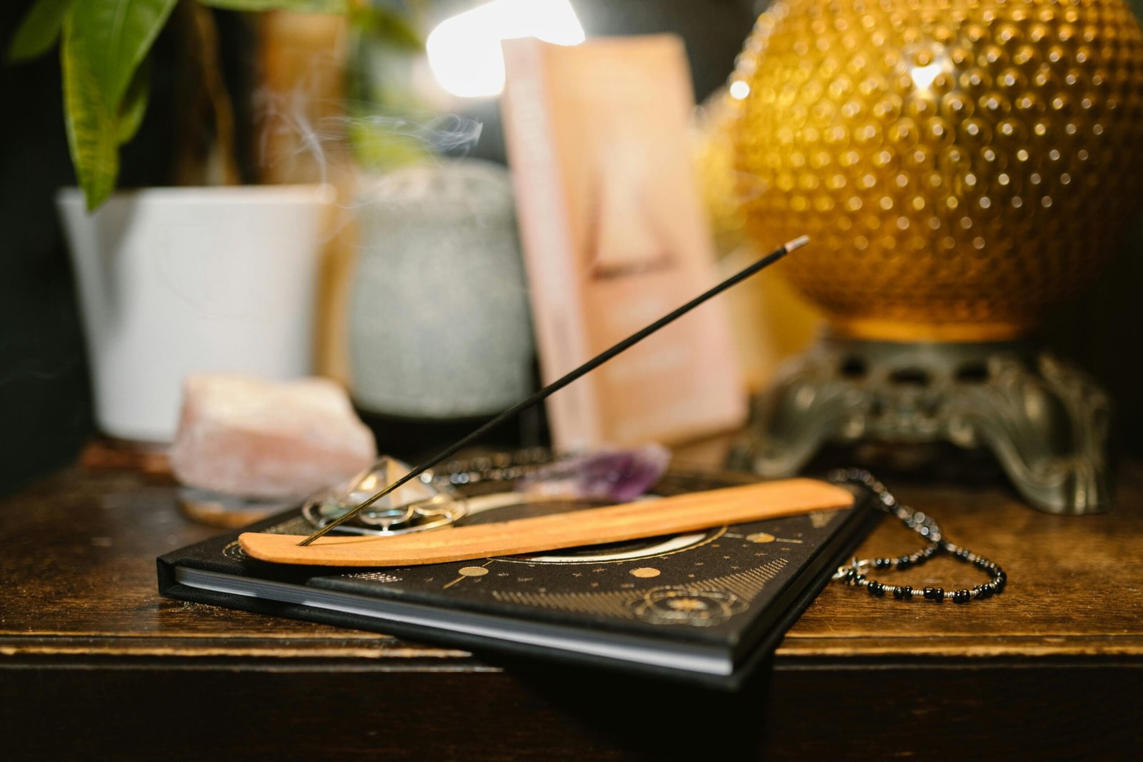 VASTU CONSULTANT